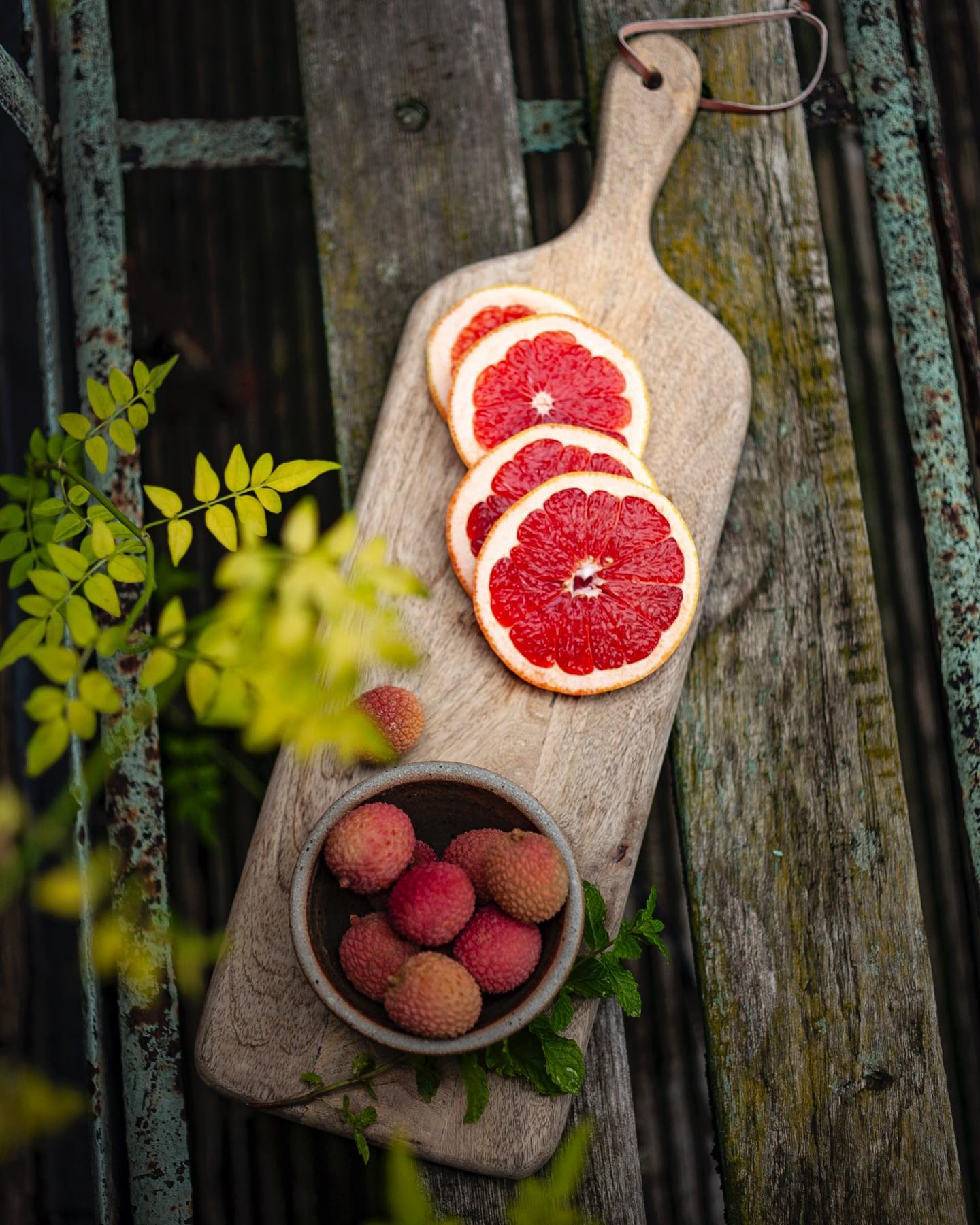 317816643_207736608283735_7758432226673198852_n