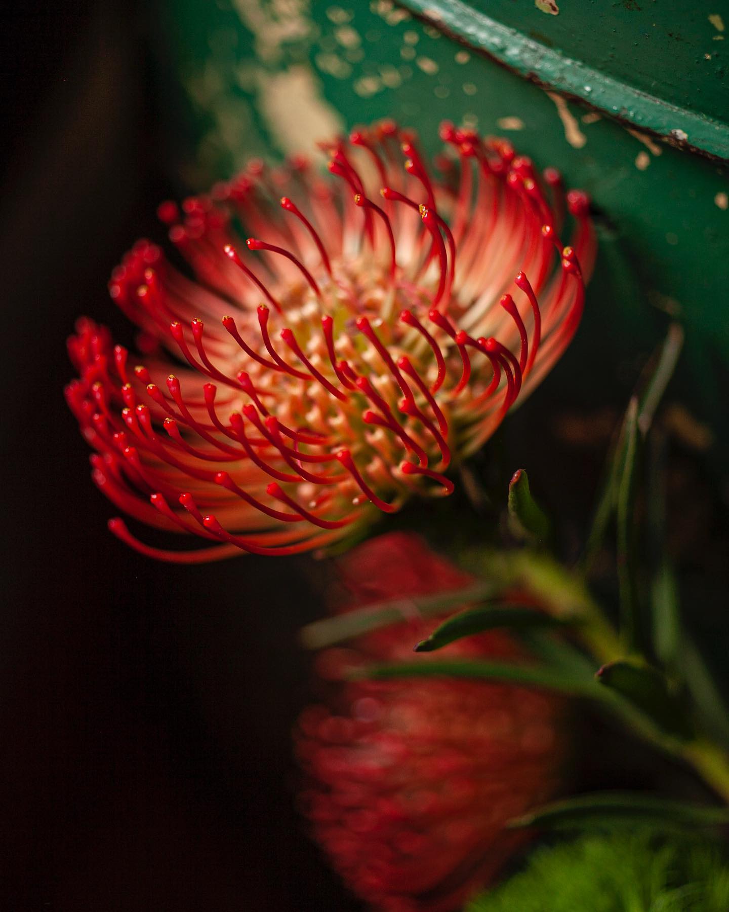 318428082_836054221053496_3485940109464898315_n