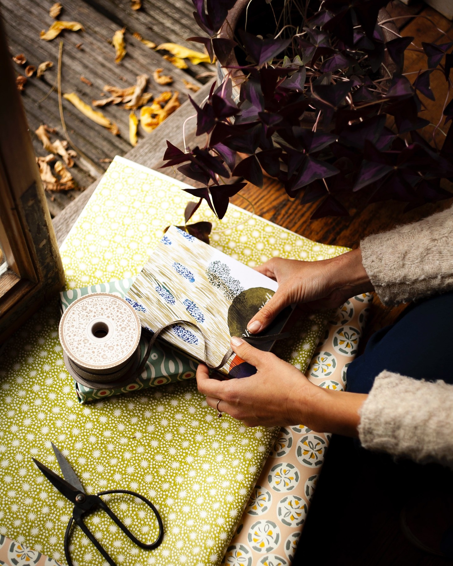 321126423_173539615318442_6070037272969686750_n