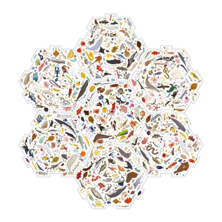 I Saw It First: Ocean &#8211; A Family Spotting Game 4+