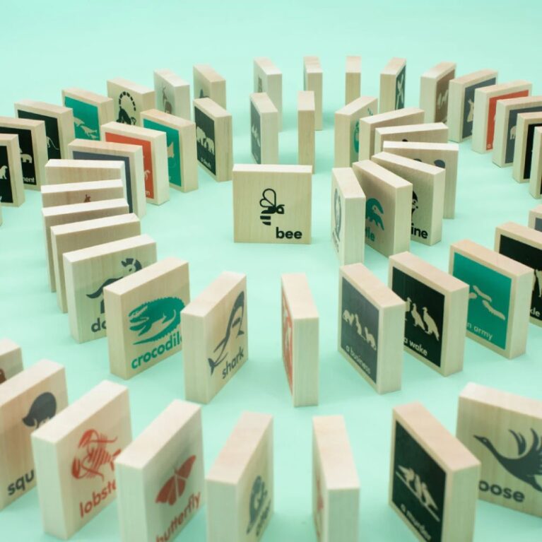 Set Of Wooden Collective Nouns Chips By Uncle Goose 3+