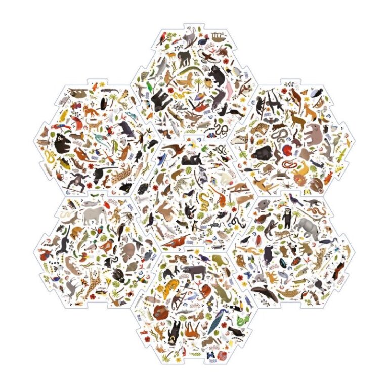 I Saw It First: Jungle &#8211; A Family Spotting Game