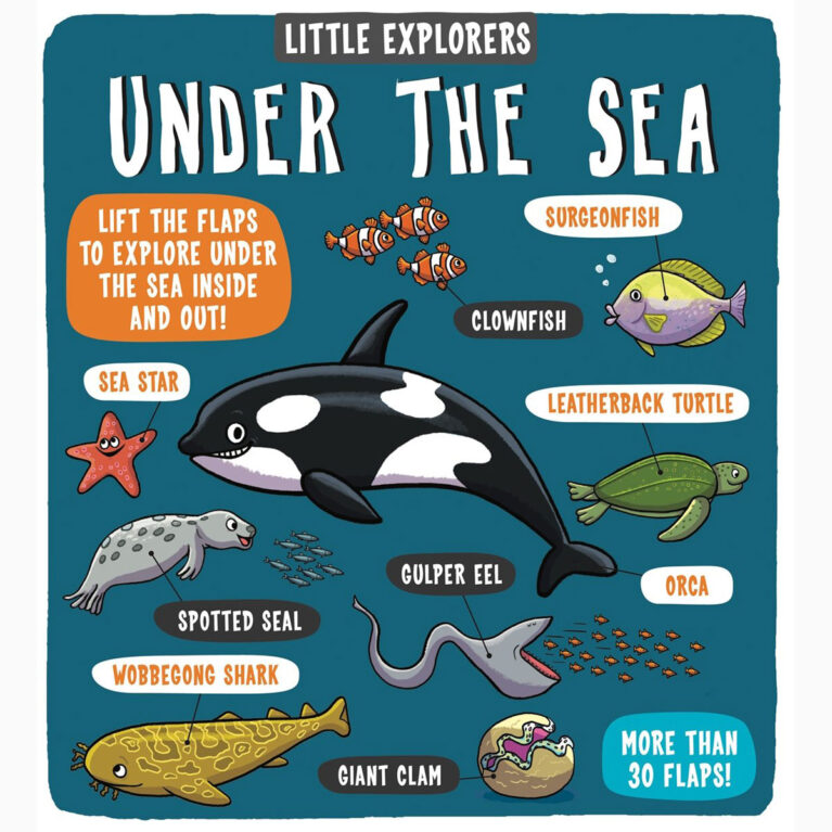 Little Explorers: Under The Sea &#8211; Hardback Book