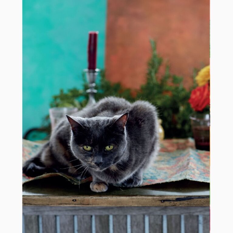 Jikoni By Ravinder Bhogal &#8211; Hardback Book