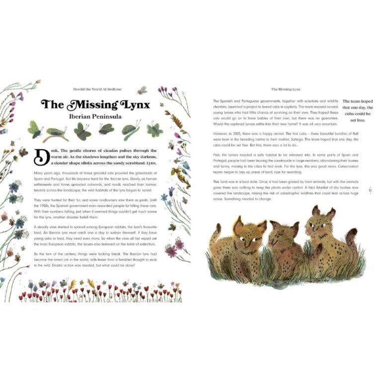 Rewild The World At Bedtime &#8211; Hardback Book