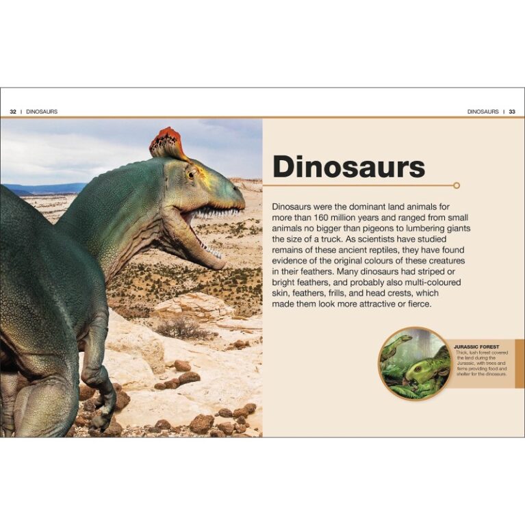 DK Pocket Eyewitness &#8211; Dinosaurs: Facts At Your Fingertips