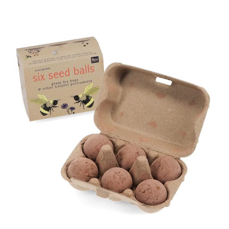 Box Of 6 Seed Balls 3+