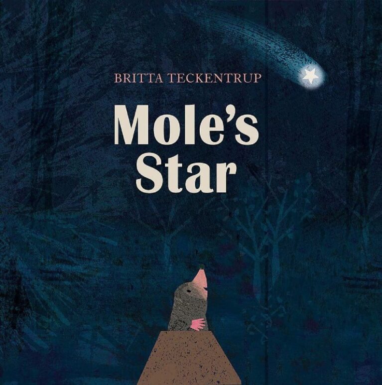 Mole&#8217;s Star By Britta Teckentrup &#8211; Paperback Book