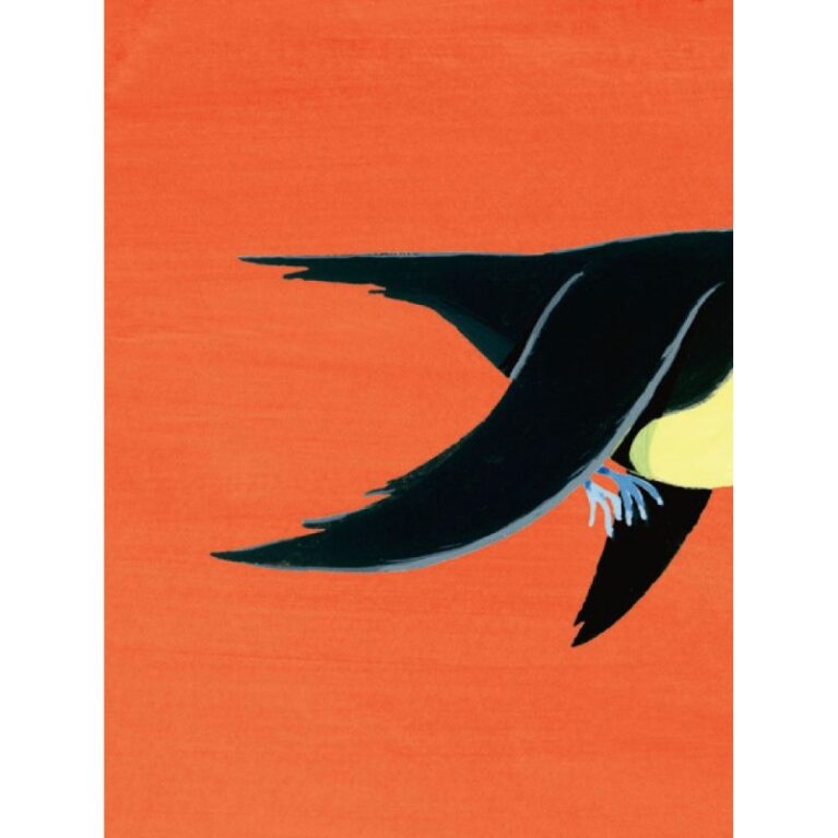 Find My Behind: An Animal Memory Game 3+