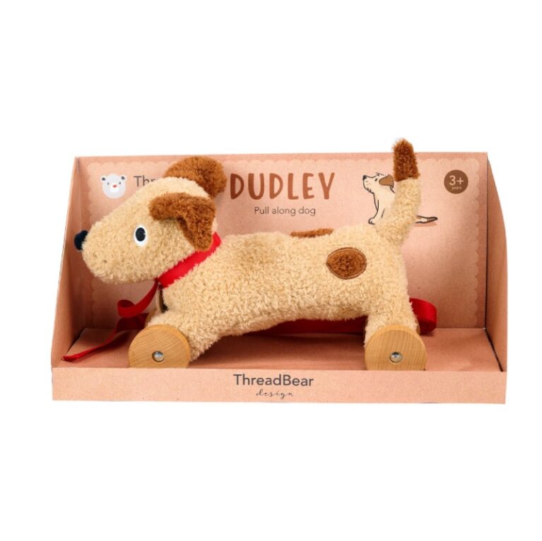 Dudley Pull Along Dog Toy 3+