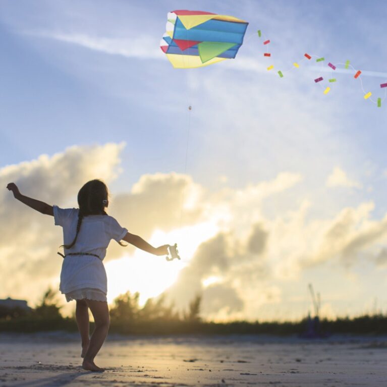 Miniature Pocket Kite In Bag 3+