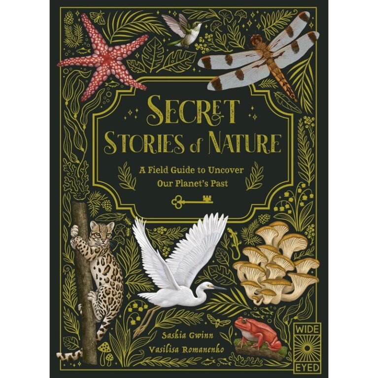Secret Stories Of Nature &#8211; Hardback Book