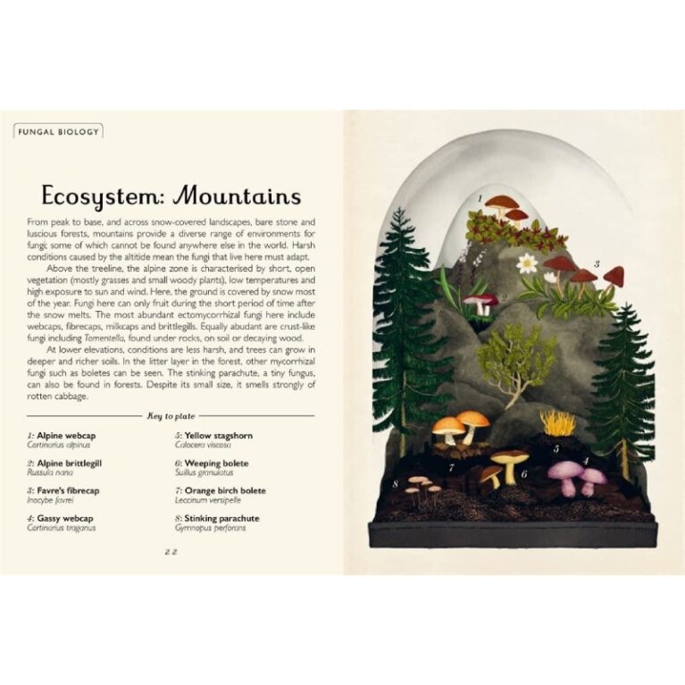 Fungarium (Mini Gift Edition) &#8211; Hardback Book