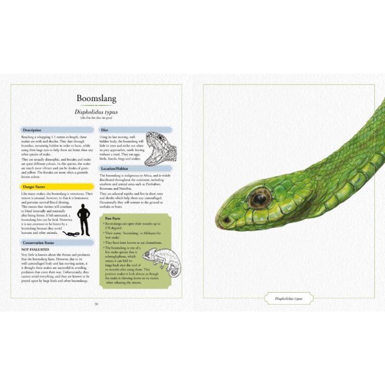 Illustrated Encyclopedia Of Dangerous Animals &#8211; Hardback Book