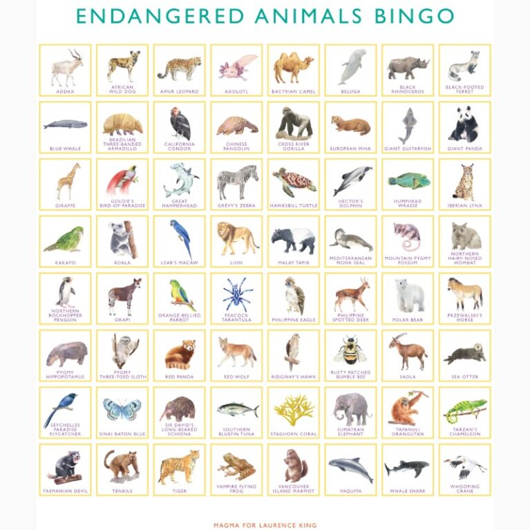 Endangered Animals Bingo Game 6+
