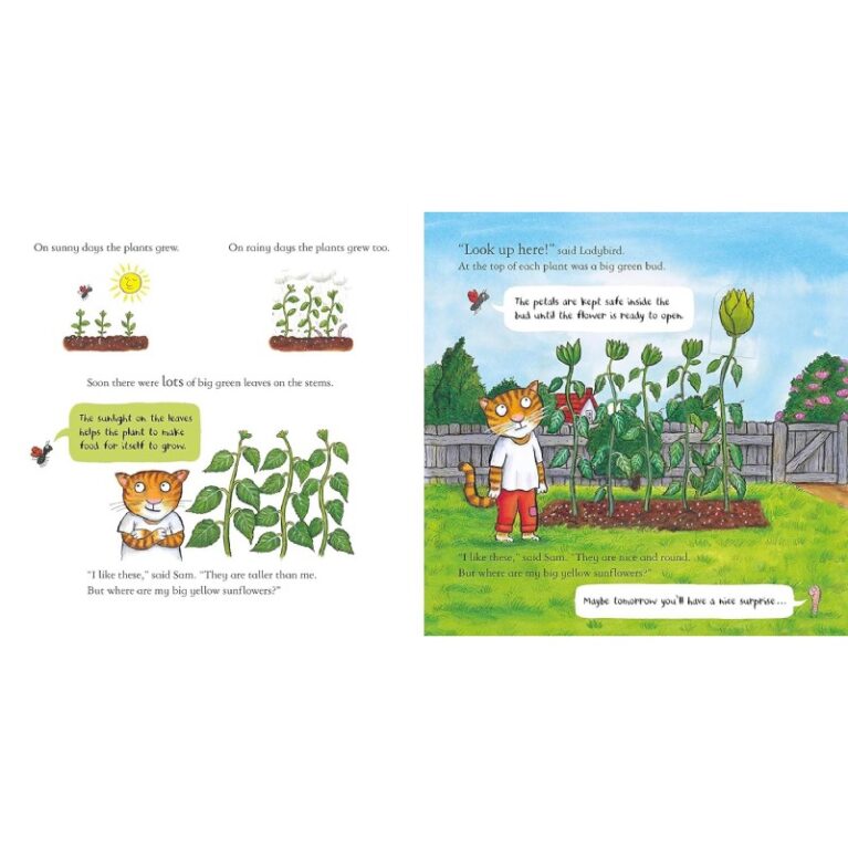 Sam Plants A Sunflower (Lift The Flap) &#8211; Paperback Book