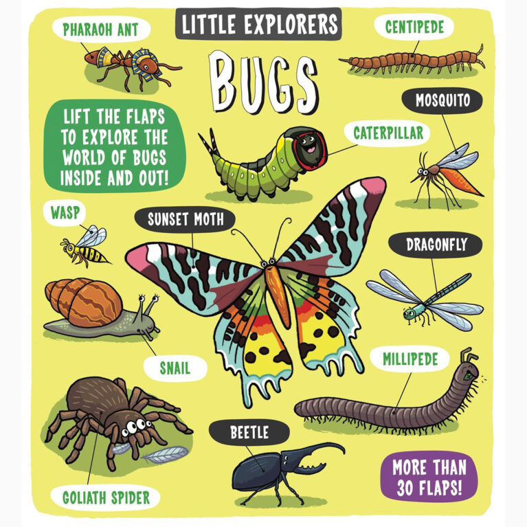 Little Explorers: Bugs &#8211; Hardback Book