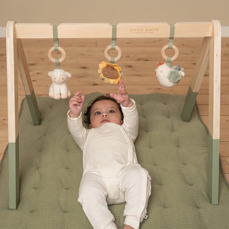 Little Farm Baby Gym By Little Dutch 0+