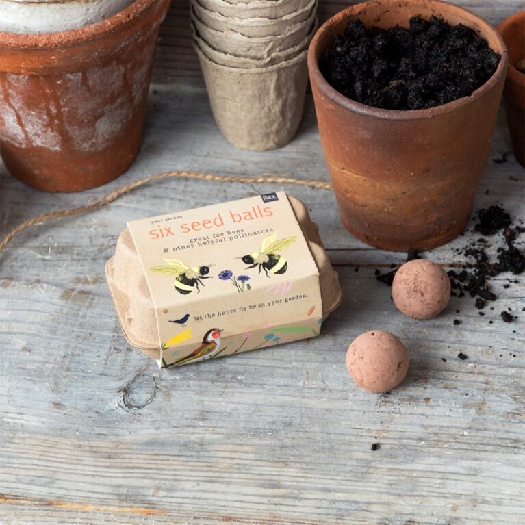 Box Of 6 Seed Balls 3+
