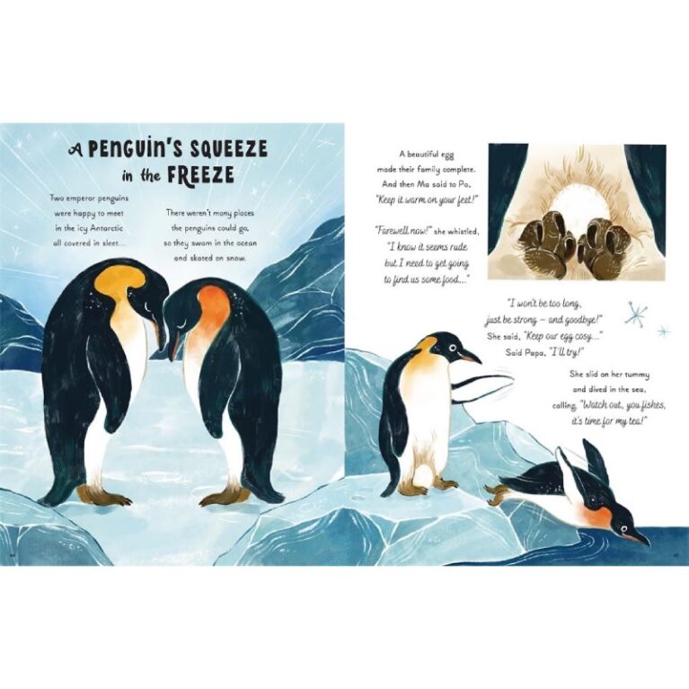 5 Minute Ocean Stories &#8211; Hardback Book