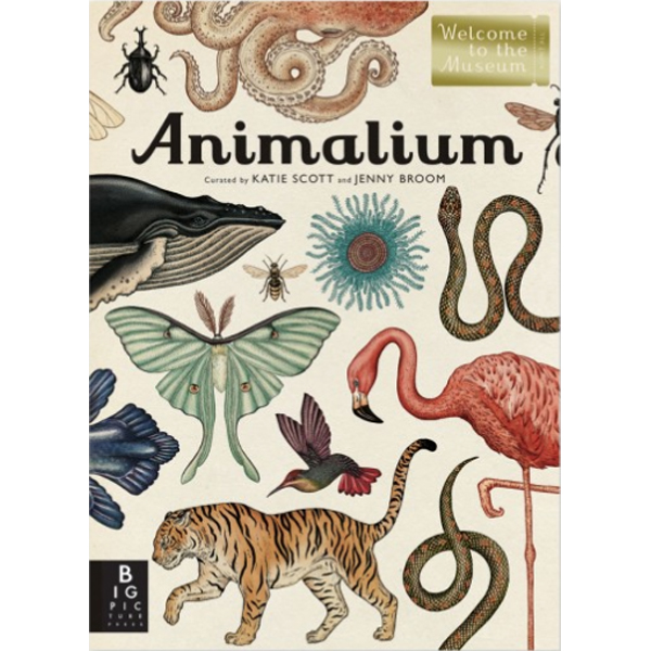 Animalium