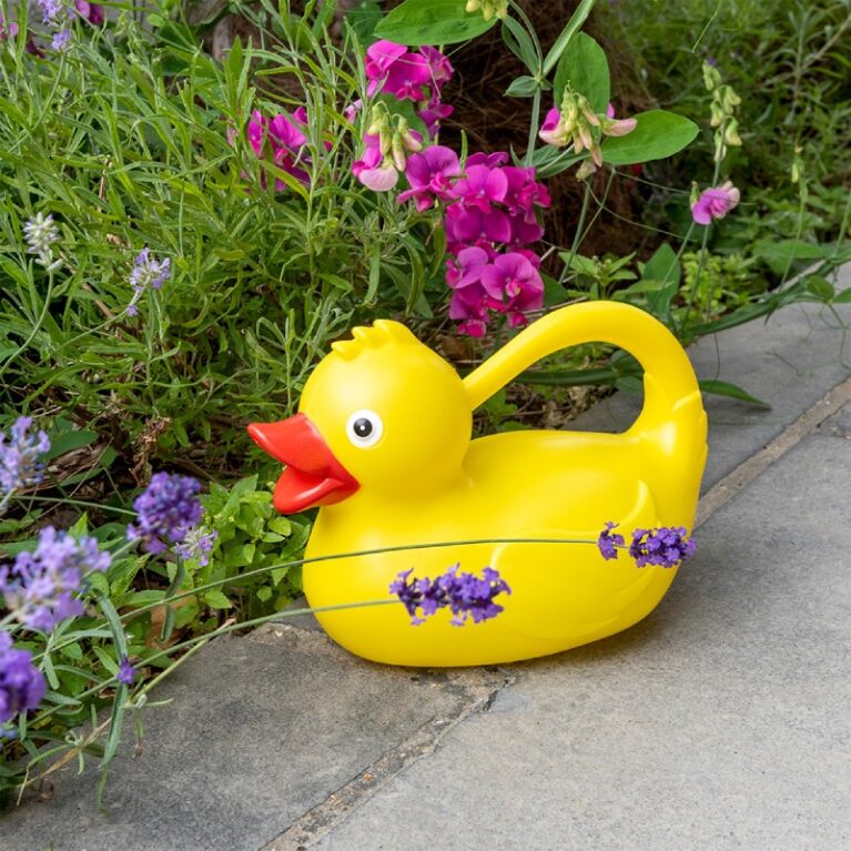 Duck Shaped Watering Can