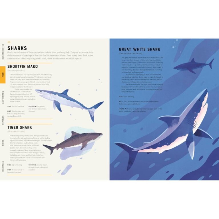 Encyclopedia of Animals &#8211; Paperback Book