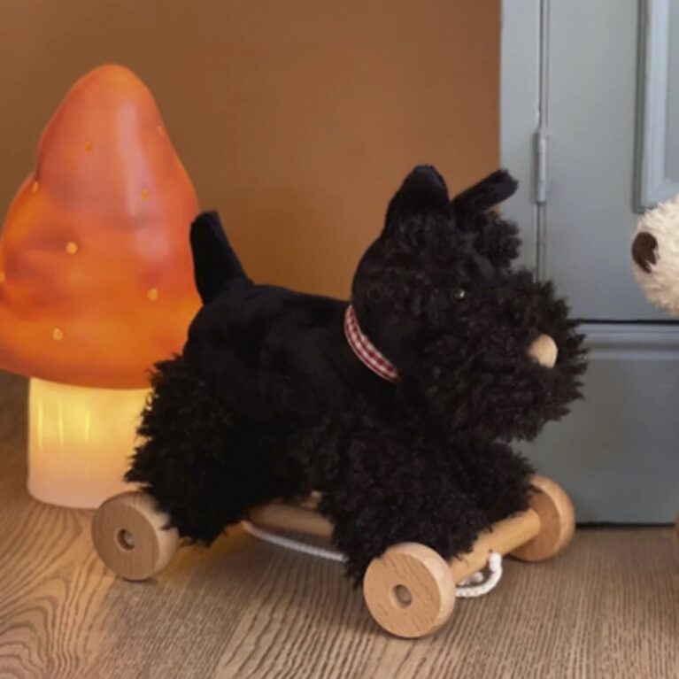 Pull Along Walter The Dog Toy 1+