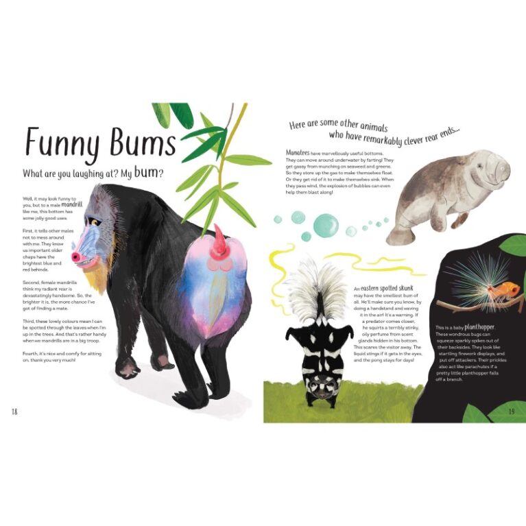 Funny Bums, Freaky Beaks &#8211; Paperback Book