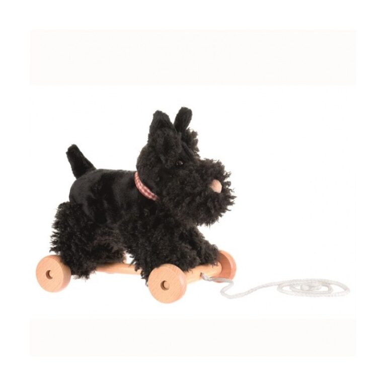 Pull Along Walter The Dog Toy 1+