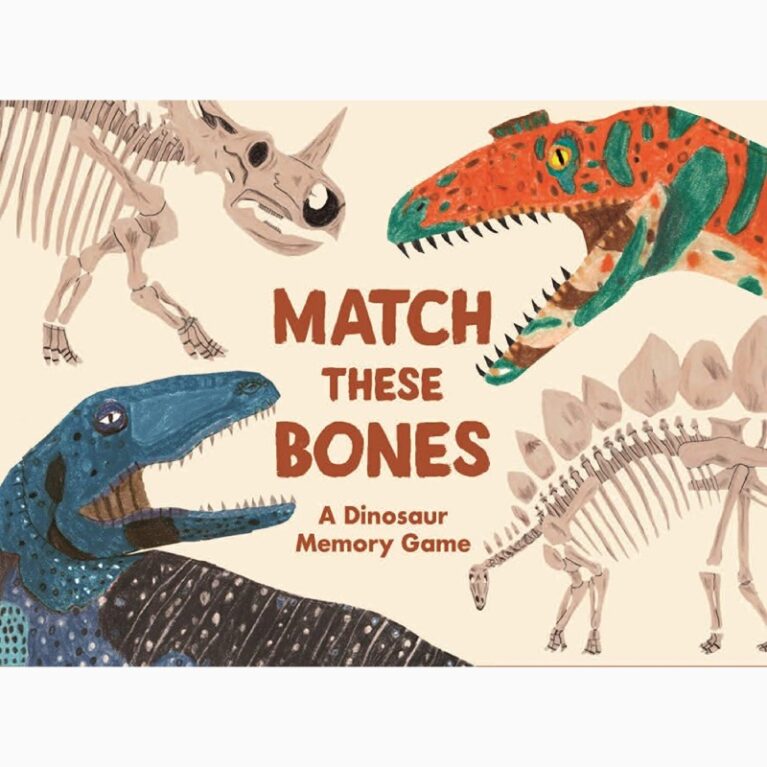 Match These Bones: A Dinosaur Memory Game