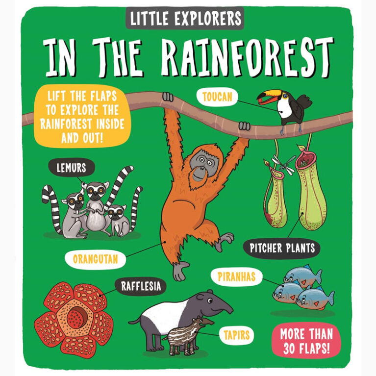 Little Explorers: In The Rainforest &#8211; Hardback Book