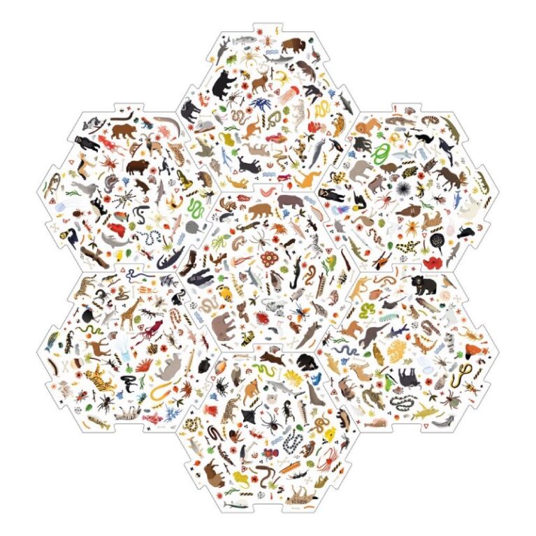 I Saw It First: Danger &#8211; A Family Spotting Game