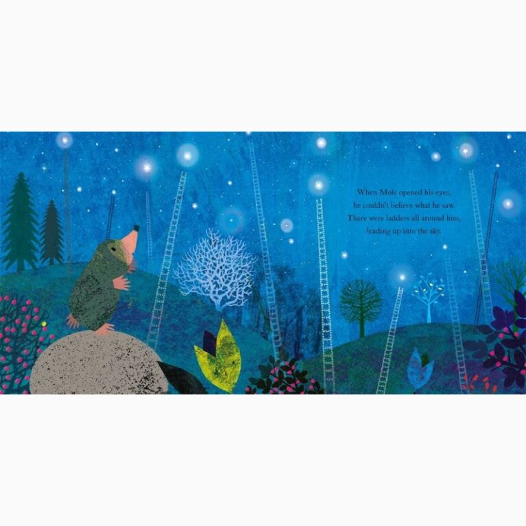 Mole&#8217;s Star By Britta Teckentrup &#8211; Paperback Book