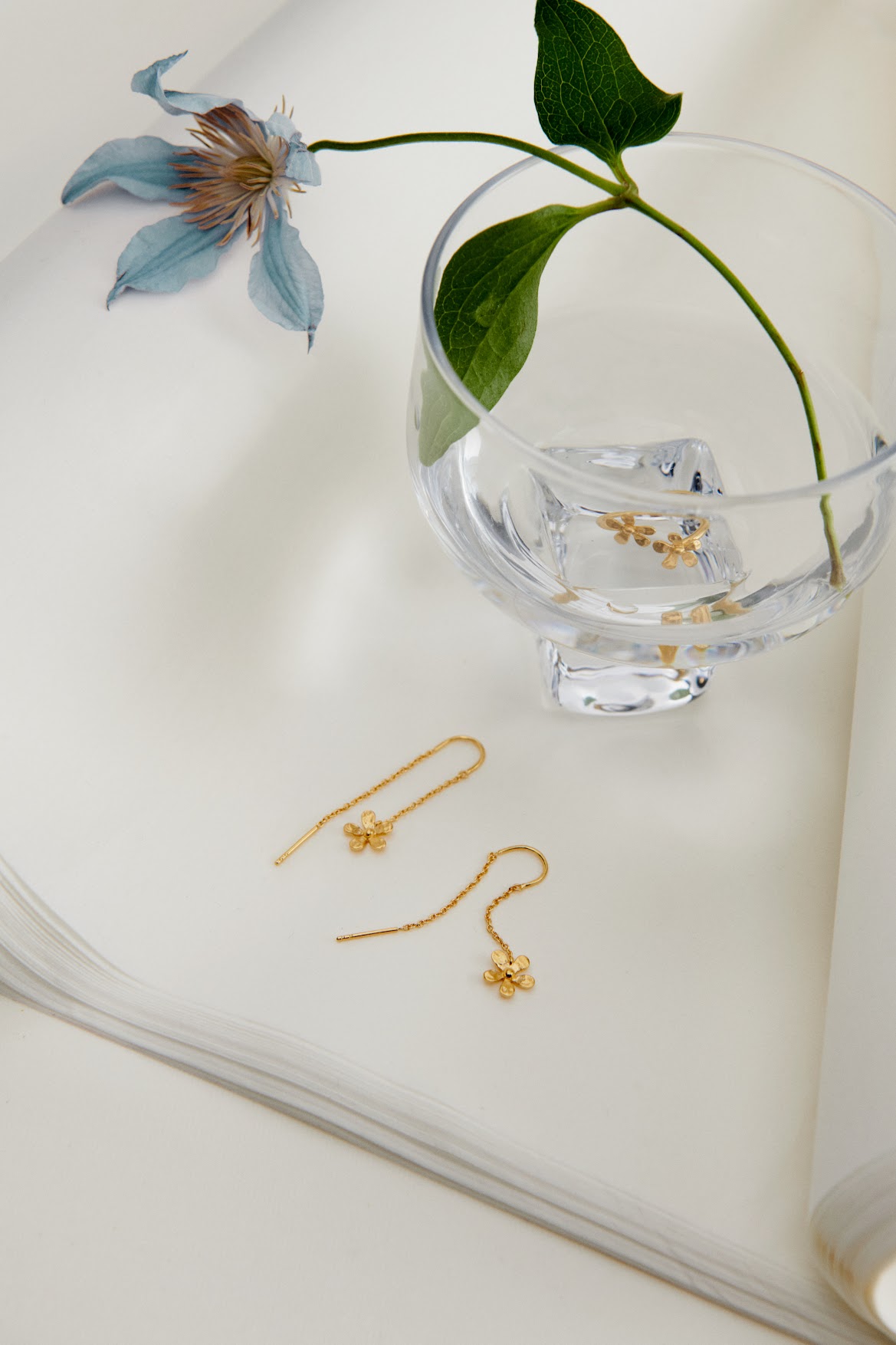 1O8xzhArgysE59b-PPuNpcPP3kF3X3r-T=w2200-h1754-iv1