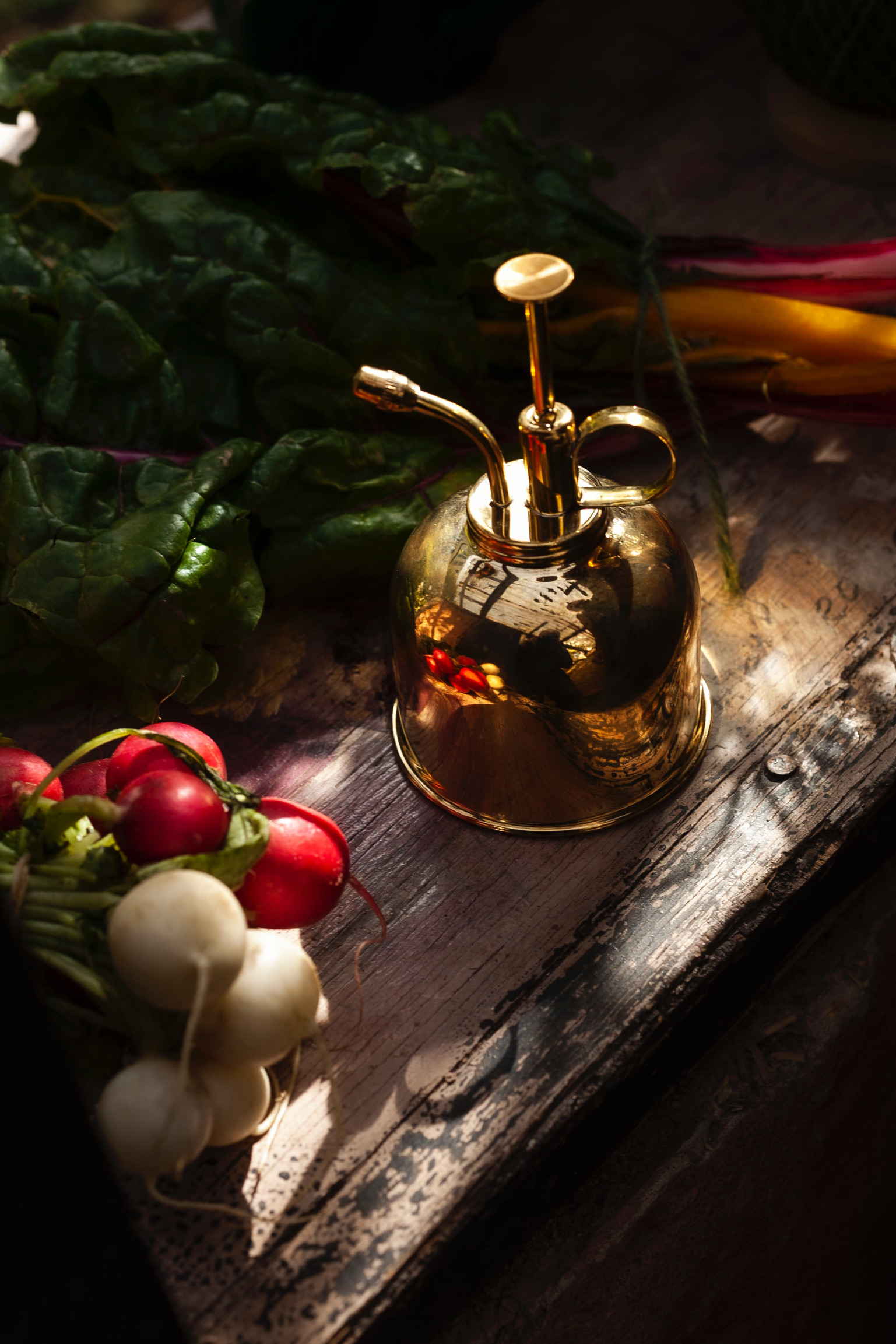 Plants, Pots &#038; Accessories3