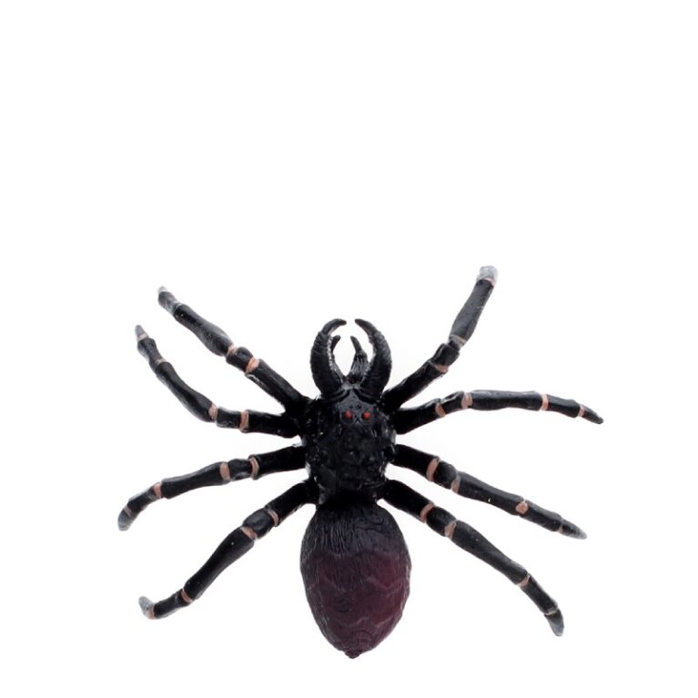 Realistic Tarantula Spider Toy 3+