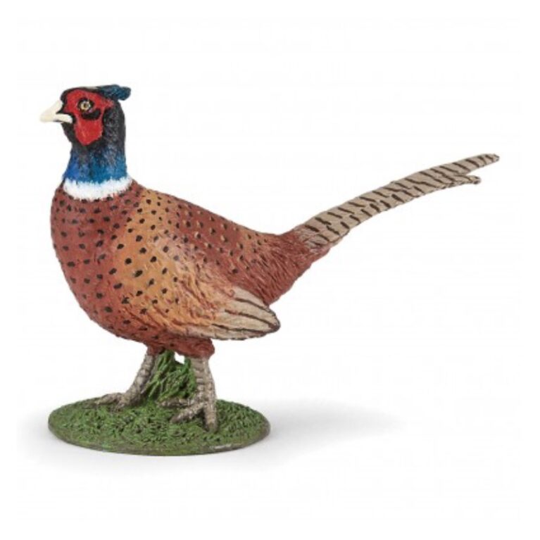 Pheasant &#8211; Papo Farm Figure