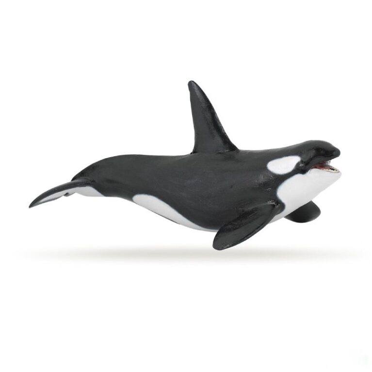 Orca Whale  &#8211; Papo Wild Animal Figure