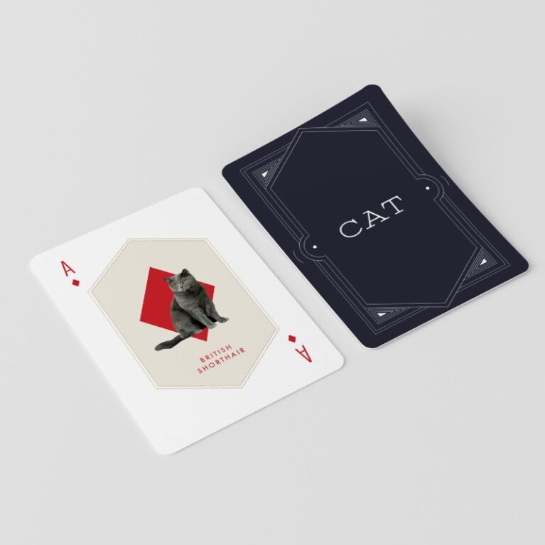 Cat &#038; Dog Playing Cards &#8211; Set Of 2 Decks