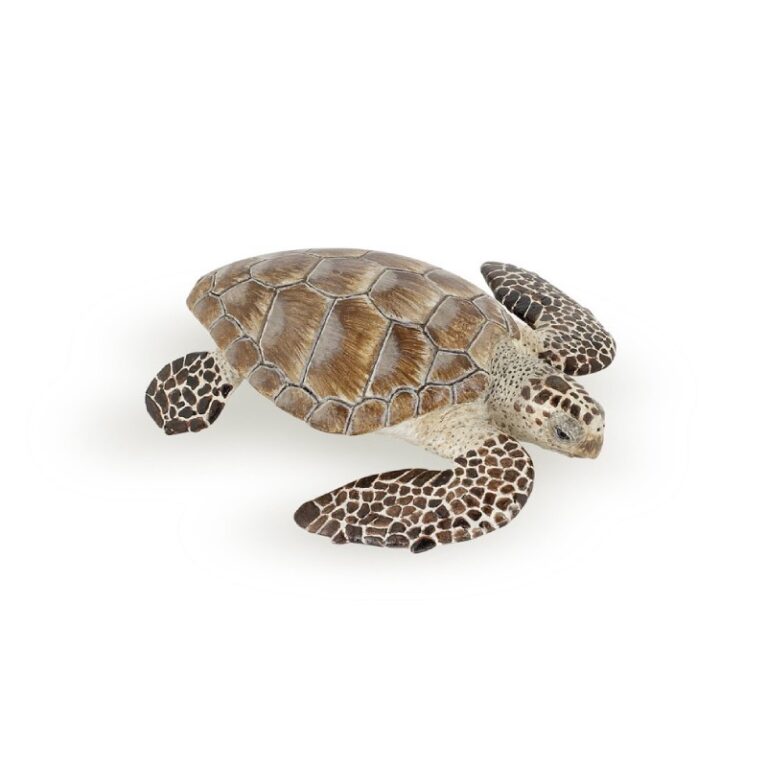 Loggerhead Turtle &#8211; Papo Animal Figure