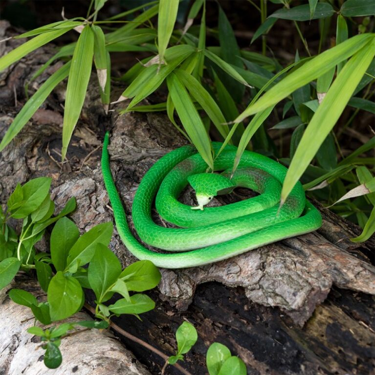 Rubber Cobra Snake Toy 3+
