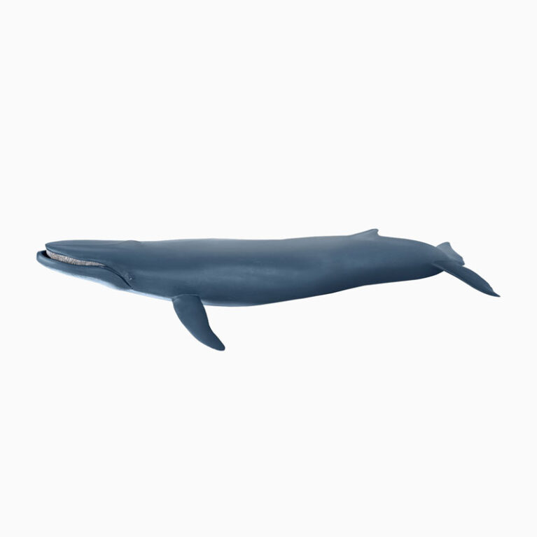 Blue Whale &#8211; Papo Wild Animal