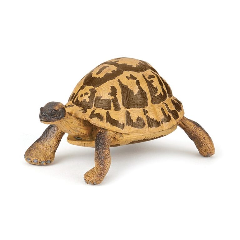 Hermann&#8217;s Tortoise &#8211; Papo Wild Animal Figure