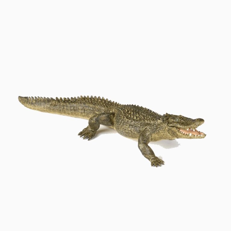 Alligator &#8211; Papo Wild Animal Figure