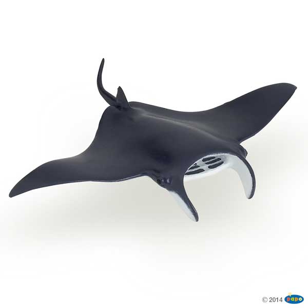 Manta Ray PAPO WILD ANIMAL