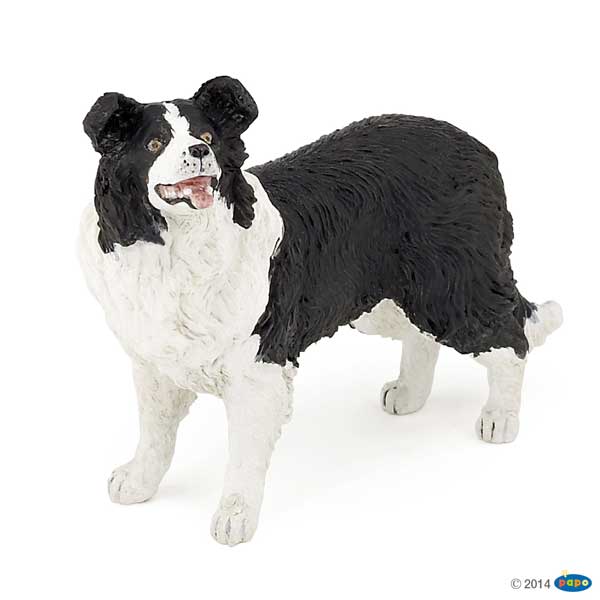 Border Collie Dog PAPO FARM ANIMAL