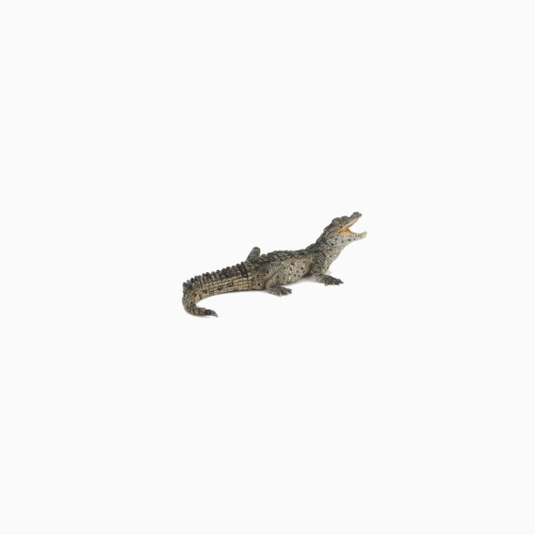 Baby Crocodile &#8211; Papo Wild Animal Figure