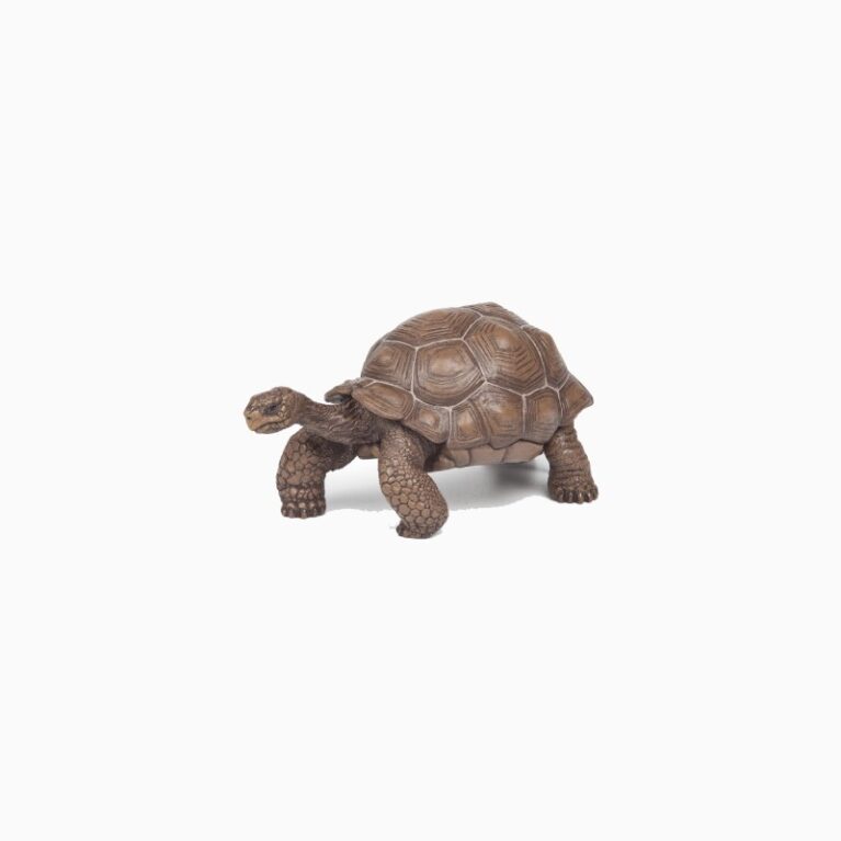 Galapagos Tortoise &#8211; Papo Wild Animal Figure