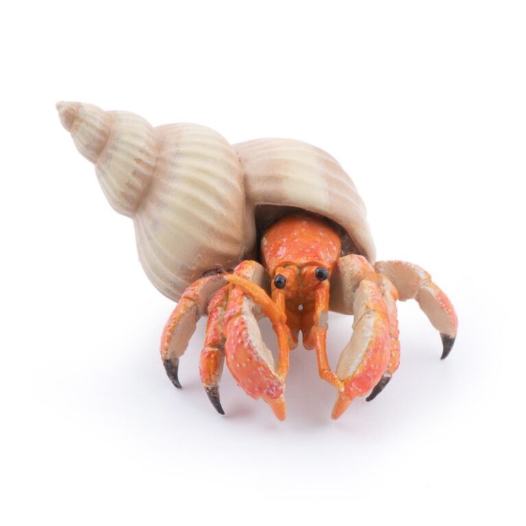 Hermit Crab &#8211; Papo Animal Figure